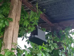 BIRD HOUSE - AUTO FEEDING SYSTEM for seeds - No supports!