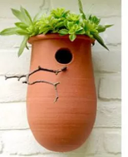 Bird house