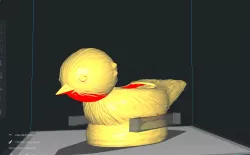 Bird-shaped slides February 14th