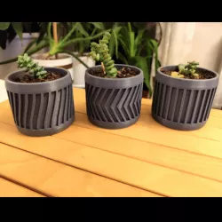 Cactus Pot Set 2