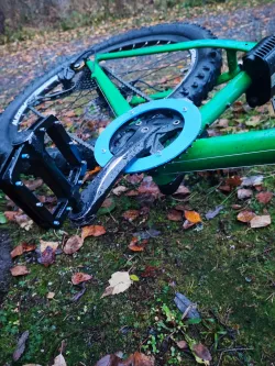 chain guard for cycle