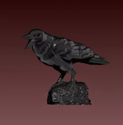Crow