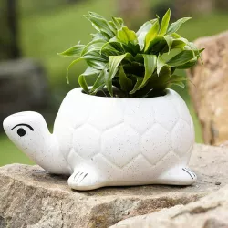 Cute Turtle pot