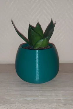 Flower pot