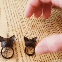 Fox Ring