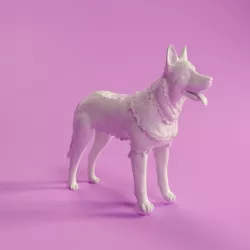 German Shepherd (German sheppard)