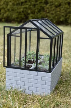 Greenhouse