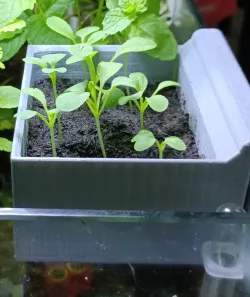 Hang-on Wall Soil Planter