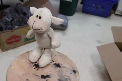 kinder lamb