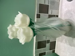 Longer Rose Stems