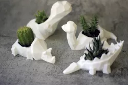 Low poly Dinosaur cactus pot planter collection T-Rex Brontosaurus Triceratops Stegosaurus
