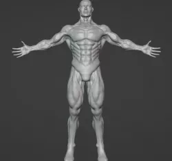Male Body Human Model | Male Body Human Model