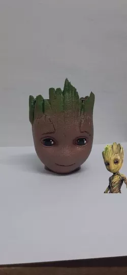 Mate Groot