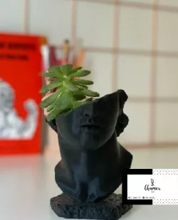 Michelangelo's David flowerpot