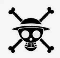 One Piece Banner