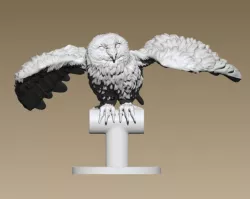 Owl