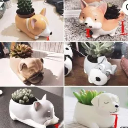 Pack of Dog Pots