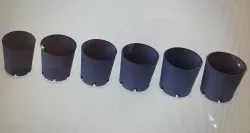 plant pot
