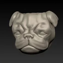 Planter Pug