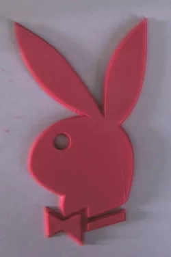 Playboy bunny logo