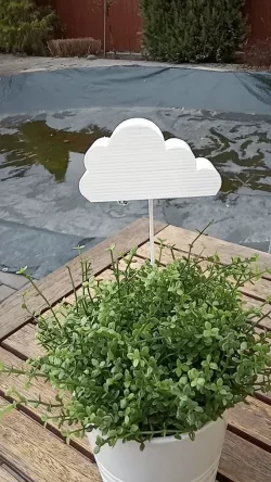 Raining cloud