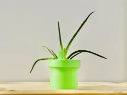 Self-watering Pipe Pots (3 Sizes)
