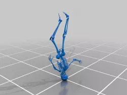 Skeleton