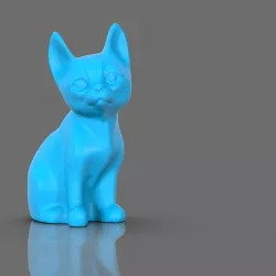 Small pet cat