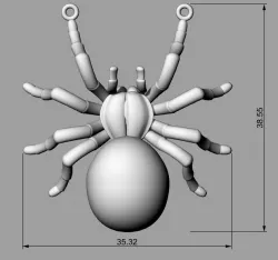 spider