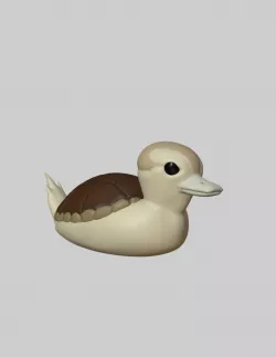 TurtleDuck