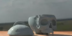 vampire skull for candy