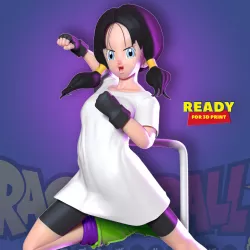 Videl - Dragon Ball Fanart