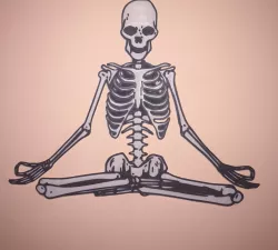 wall art // skeleton wall decoration