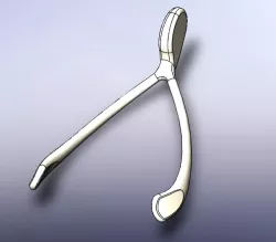 Wishbone