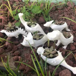 6-PACK LOW-POLY DINOSAUR POTS (T-Rex, Brontosaurus, Triceratops, Stegosaurus, Parasaurolopus, Ankylosaurus)