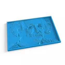 Albert Einstein - 3D Panel