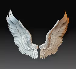 Angel wings