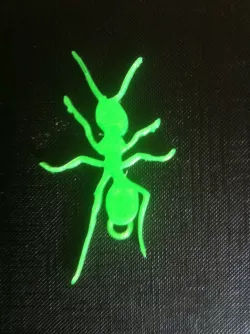 Ant keychain