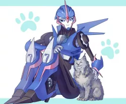 Arcee and the cat