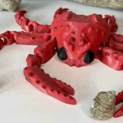 Articulated Spider Crab Flexi Toy