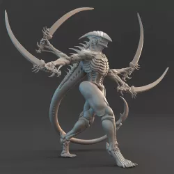 Avunt Lord