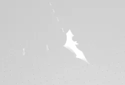 batarang