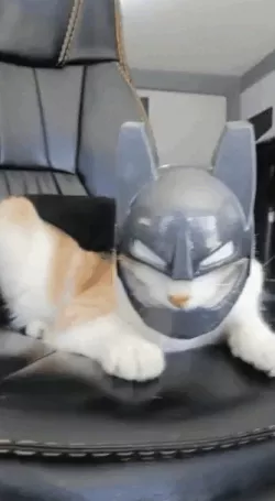 BATMAN CAT -MASK