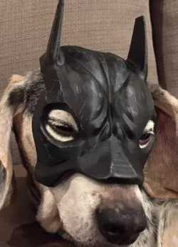 Batman dog mask