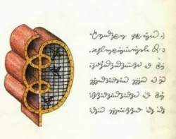 Bird cage design_codex seraphinianus