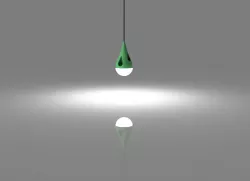 Bird feeder light