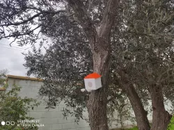 Birdhouse with drinking and feeding trough