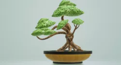Bonsai (GLB Format)