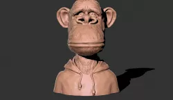 BROAD APE NFT monkey