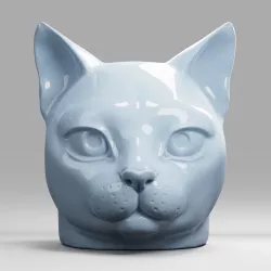 Cat  Head  Cute